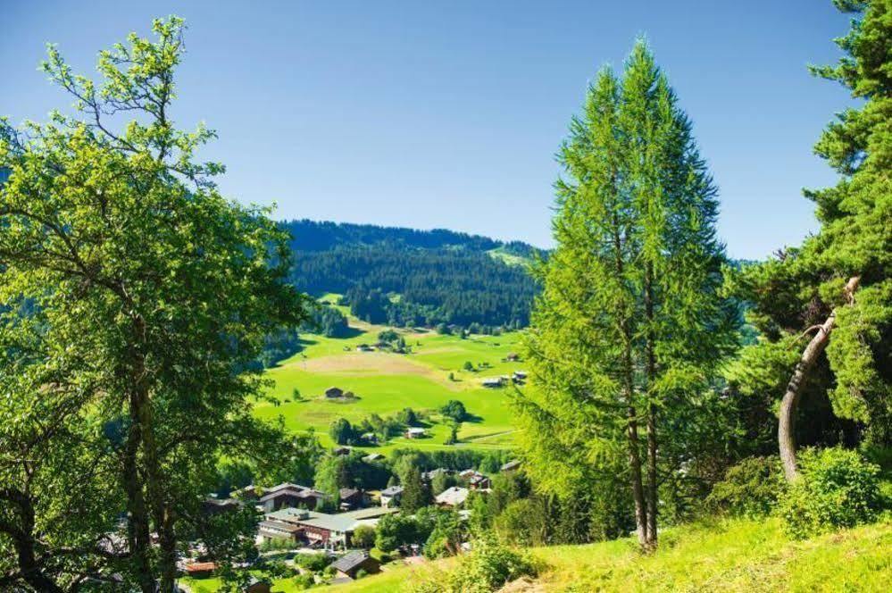 ホテル Belambra Clubs Praz-Sur-Arly - L'Alisier エクステリア 写真